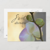 Carte Postale Sogni D'oro (doux rêves) Orchidée (Devant / Derrière)