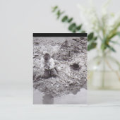 Carte Postale Soif (Debout devant)