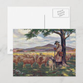 Carte Postale Soignant les moutons (Devant / Derrière)