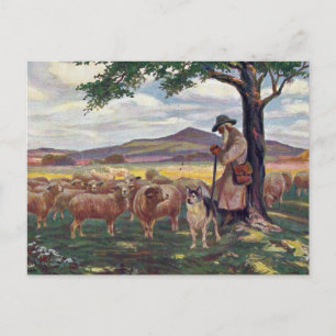 Carte Postale Soignant les moutons