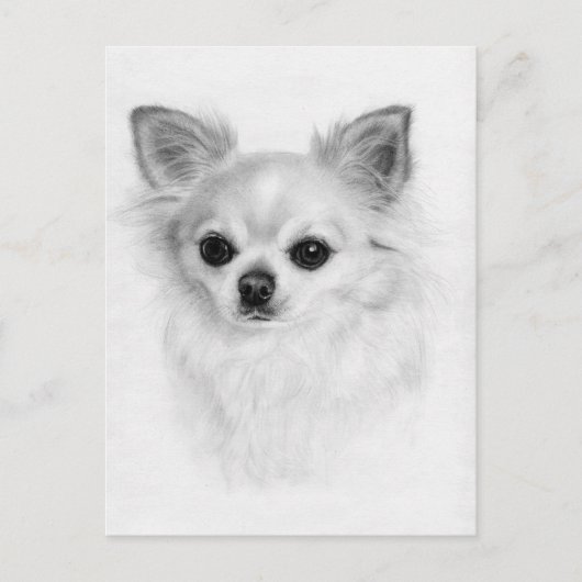 Carte Postale Soigné - Peint à la main Chihuahua Art (Devant)