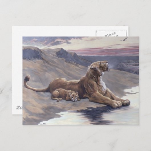 Carte Postale Soins maternels (Devant / Derrière)