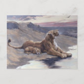 Carte Postale Soins maternels (Devant)