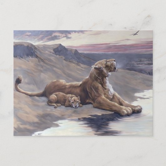 Carte Postale Soins maternels (Devant)