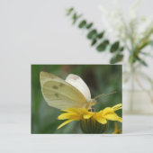 Carte Postale Soirée Calendula ! (Debout devant)