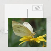 Carte Postale Soirée Calendula ! (Devant / Derrière)