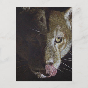 Carte Postale Soirée Cougar