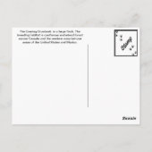 Carte Postale Soirée Grosbeak (Dos)