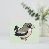 Carte Postale Soirée Grosbeak (f) (Debout devant)