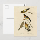 Carte Postale Soirée, Oiseaux tachetés de Grosbeak Audubon d'Amé (Devant / Derrière)