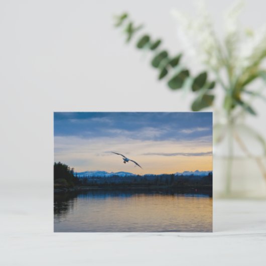 Carte Postale Soirée Paisible (Debout devant)