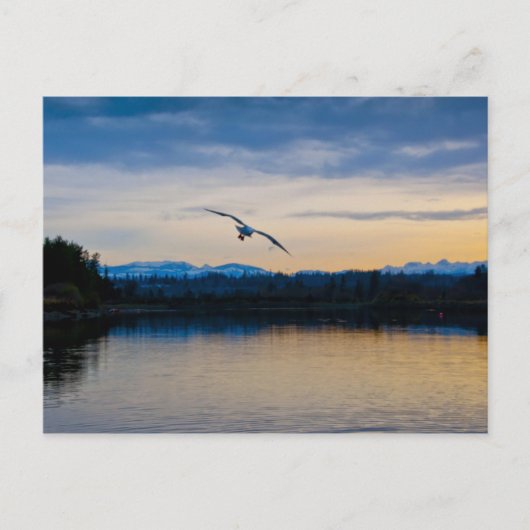 Carte Postale Soirée Paisible (Devant)