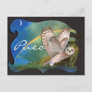 Carte Postale Soirée Pueo