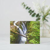 Carte Postale Sol Duc Falls I au Parc National Olympique (Debout devant)