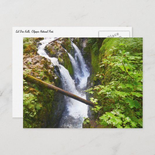 Carte Postale Sol Duc Falls I au Parc National Olympique (Devant / Derrière)