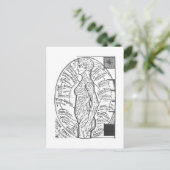 Carte Postale "Solar Chart : The Microcosm" Astrologie zodiaque (Debout devant)