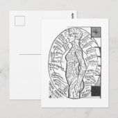 Carte Postale "Solar Chart : The Microcosm" Astrologie zodiaque (Devant / Derrière)