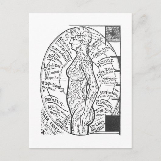 Carte Postale "Solar Chart : The Microcosm" Astrologie zodiaque (Devant)