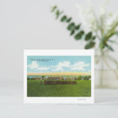 Carte Postale Soldats en formation (Debout devant)