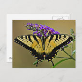 Carte Postale solde (Devant / Derrière)