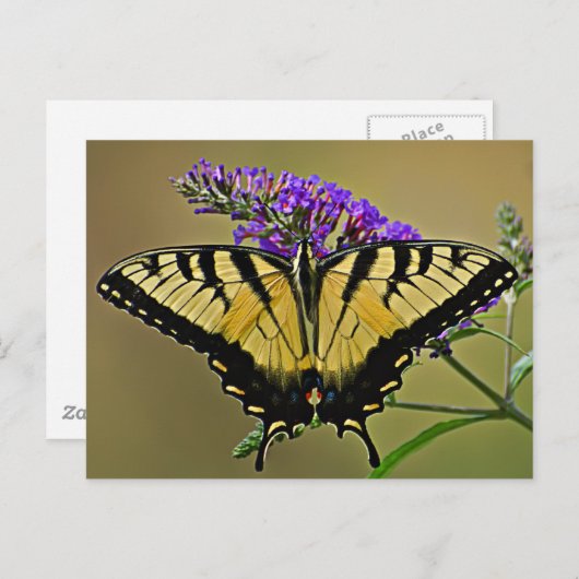 Carte Postale solde (Devant / Derrière)