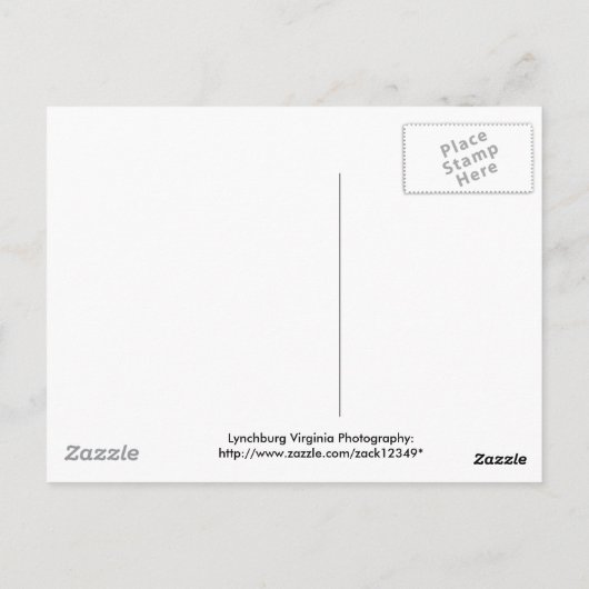 Carte Postale solde (Dos)