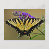 Carte Postale solde (Devant)