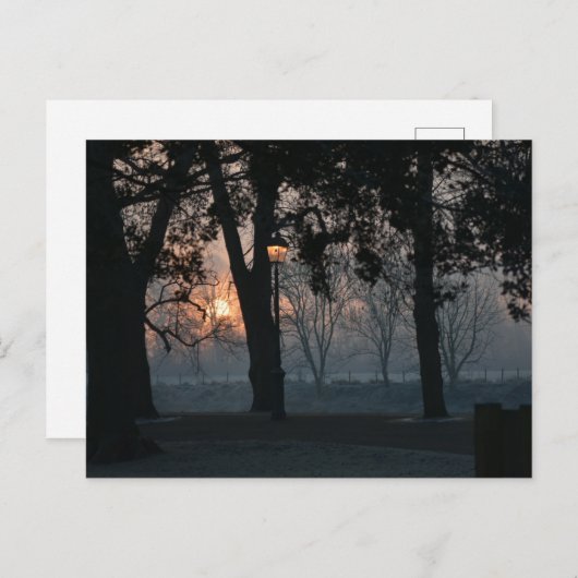 Carte Postale Soleil (Devant / Derrière)