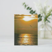 Carte Postale Soleil (Debout devant)