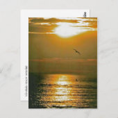 Carte Postale Soleil (Devant / Derrière)