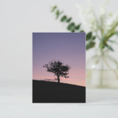 Carte Postale Soleil (Debout devant)