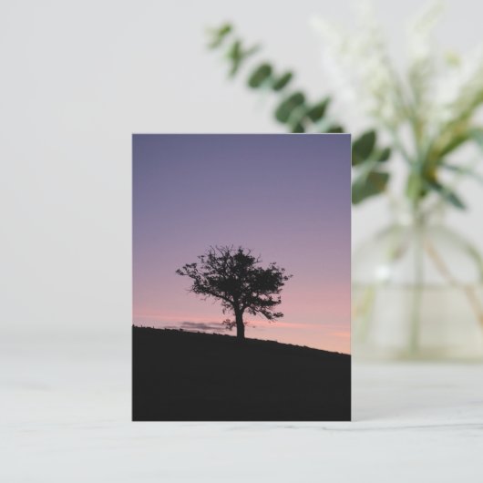 Carte Postale Soleil (Debout devant)