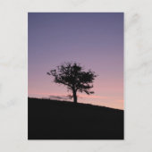 Carte Postale Soleil (Devant)