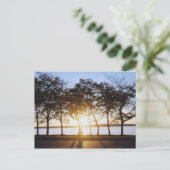 Carte Postale Soleil (Debout devant)