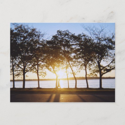 Carte Postale Soleil (Devant)