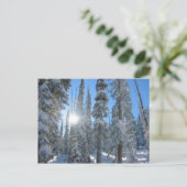 Carte Postale Soleil à travers les arbres en hiver (Debout devant)