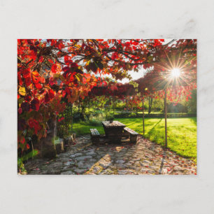 Carte Postale Soleil à travers les feuilles d'automne, Croatie