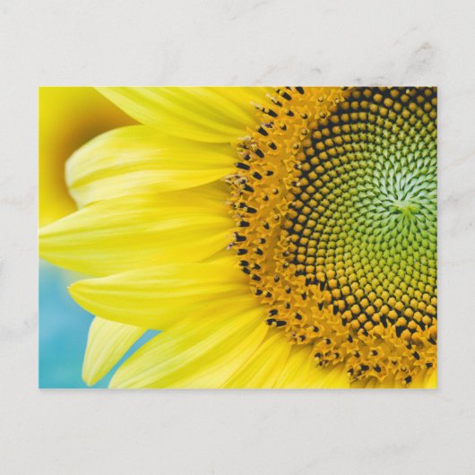 Carte Postale Soleil brillant (Devant)
