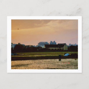 Carte Postale soleil couchant de la campagne Printemps