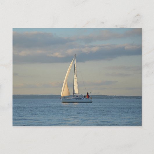 Carte Postale Soleil Dans Les Voiles (Devant)