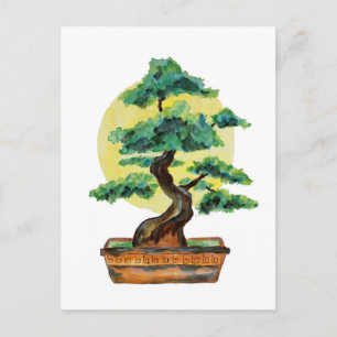 Carte Postale Soleil de Bonsai Tree