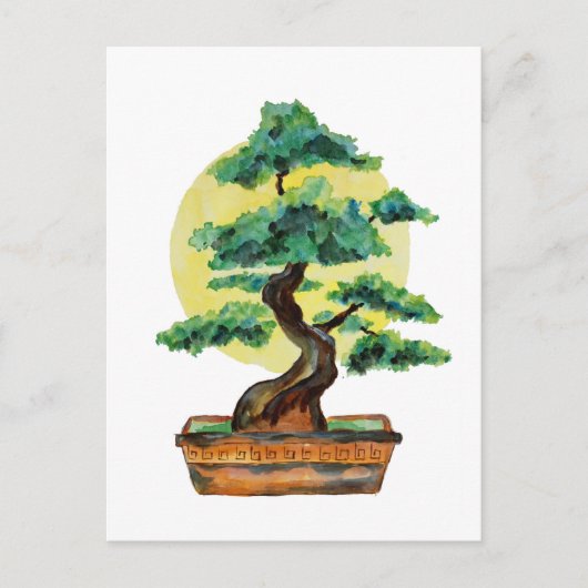 Carte Postale Soleil de Bonsai Tree (Devant)