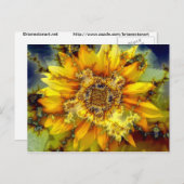 Carte Postale Soleil de fleur (Devant / Derrière)