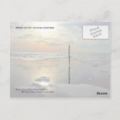 Carte Postale Soleil de minuit et ours polaire, océan Arctique (Dos)