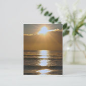 Carte Postale Soleil de Palm Beach (Debout devant)