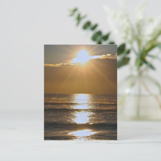 Carte Postale Soleil de Palm Beach (Debout devant)