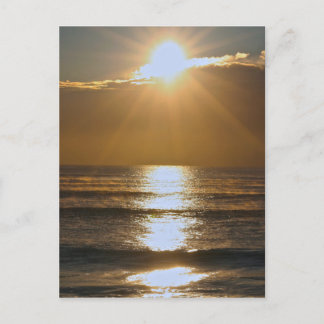 Carte Postale Soleil de Palm Beach