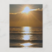 Carte Postale Soleil de Palm Beach (Devant)