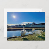 Carte Postale Soleil de printemps (Devant / Derrière)