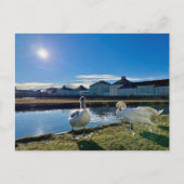 Carte Postale Soleil de printemps (Devant)